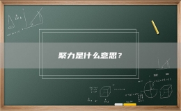 聚力是什么意思？