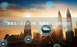 麒麟是幾級(jí)保護(hù)動(dòng)物，麒麟是什么動(dòng)物的原型
