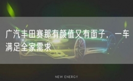 廣汽豐田賽那有顏值又有面子，一車滿足全家需求