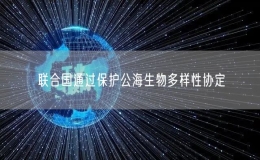 聯(lián)合國通過保護(hù)公海生物多樣性協(xié)定