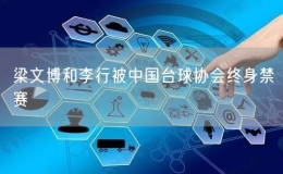 梁文博和李行被中國臺球協(xié)會終身禁賽