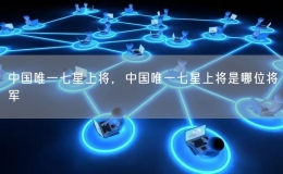 中國唯一七星上將，中國唯一七星上將是哪位將軍