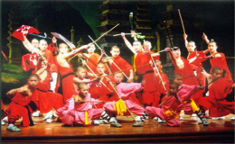 廣東十虎武功排名順序（廣東十虎真實(shí)存在嗎）