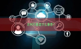農(nóng)村打盾是什么意思？