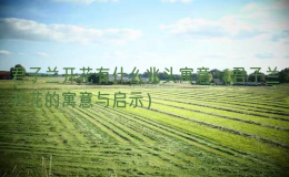 君子蘭開花有什么兆頭寓意（君子蘭開花的寓意與啟示）