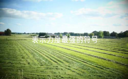 表示力度最強的符號