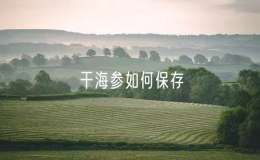 干海參如何保存（干海參的長期儲存方法）