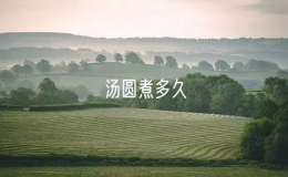 湯圓煮多久（烹飪湯圓的時間）