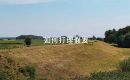 如何打理假發(fā)（假發(fā)的護(hù)理方法）