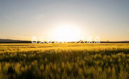 西安必去的10大景點(diǎn)（西安旅游景點(diǎn)排名前十名）