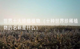 世界十大珍惜植物（十種世界珍稀植物的名稱是什么）