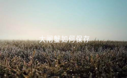 大閘蟹如何保存？（科學(xué)的大閘蟹保存方法）