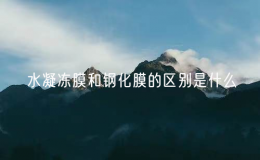 水凝凍膜和鋼化膜的區(qū)別是什么？