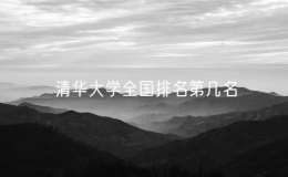 清華大學(xué)全國(guó)排名第幾名（清華大學(xué)學(xué)院排名）