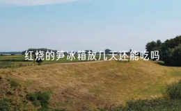 紅燒的筍冰箱放幾天還能吃嗎？