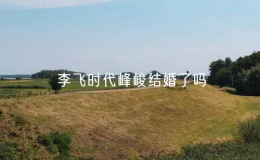 李飛時(shí)代峰峻結(jié)婚了嗎？