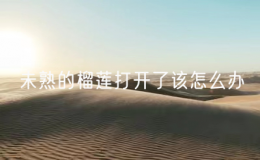 未熟的榴蓮打開(kāi)了該怎么辦（未熟的榴蓮開(kāi)了還能熟嗎）