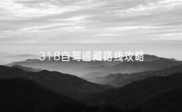 318自駕進(jìn)藏路線攻略