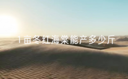 1畝冬紅海棠能產(chǎn)多少斤？怎么養(yǎng)好1畝2年掛果3次？
