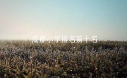 成都小學排名前十名（成都市比較好的小學）