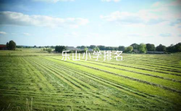 樂山小學排名（樂山市重點小學名單）