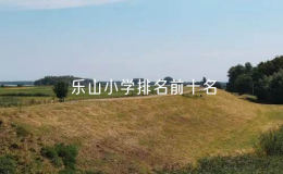 樂山小學排名前十名，樂山市小學排名一覽表