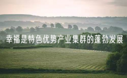 幸福是特色優(yōu)勢產(chǎn)業(yè)集群的蓬勃發(fā)展