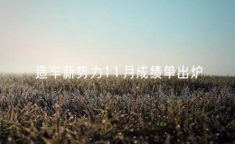 造車(chē)新勢(shì)力11月成績(jī)單出爐