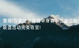 喜報!石家莊靈壽縣單身青年公益交友聯(lián)誼活動完美收官!