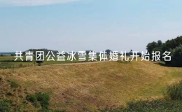 共青團公益冰雪集體婚禮開始報名
