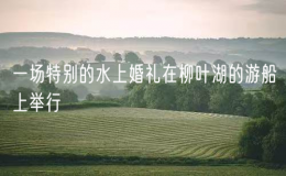 一場特別的水上婚禮在柳葉湖的游船上舉行
