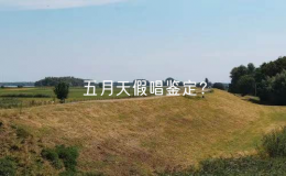 五月天假唱鑒定？