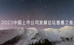 2023中國上市公司發(fā)展論壇慈善之夜