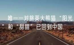 ?唯一一對旅英大熊貓“陽光”和“甜甜”已回到中國