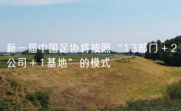 新一屆中國(guó)足協(xié)將按照“13部門(mén)＋2公司＋1基地”的模式