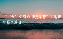 “‘禾’你有約 情定軍營”軍地青年聯(lián)誼活動