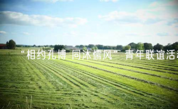 “相約孔博 同沐儒風”青年聯(lián)誼活動
