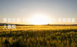 原創(chuàng)話劇《哥德巴赫猜想》亮相國家大劇院