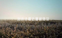?劉詩詩最近屢被熱議