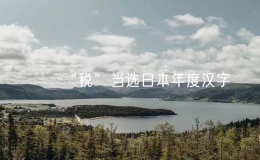 “稅”當選日本年度漢字