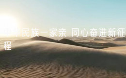 中華民族一家親 同心奮進新征程