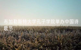 布加勒斯特大學孔子學院舉辦中國詩歌節(jié)