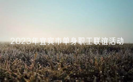 2023年宜賓市單身職工聯(lián)誼活動