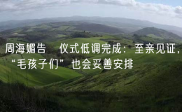 周海媚告別儀式低調(diào)完成：至親見證，“毛孩子們”也會妥善安排