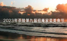2023年茶陵第九屆祖庵家菜美食節(jié)