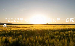 “2023星光大賞”18線女星一跌成名