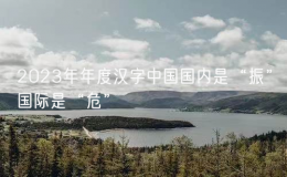 2023年年度漢字中國國內(nèi)是“振”國際是“?！?></i>
      <p>2023年年度漢字中國國內(nèi)是“振”國際是“危”</p>
      <font>多家機構(gòu)聯(lián)合評選出2023年年度漢字，中國國內(nèi)是“振”，國際是“?！?。據(jù)央視新聞報道，星期三（12月20日）上午，國家語言資源監(jiān)測與研究中心、商務(wù)印書館等單位聯(lián)</font><span><strong class=