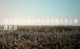 深圳超市山姆會員店成為港人北上消費熱點