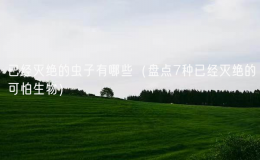 已經(jīng)滅絕的蟲子有哪些（盤點7種已經(jīng)滅絕的可怕生物）