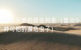 已經(jīng)滅絕的昆蟲列表（盤點9種可怕的瀕危蟲子）